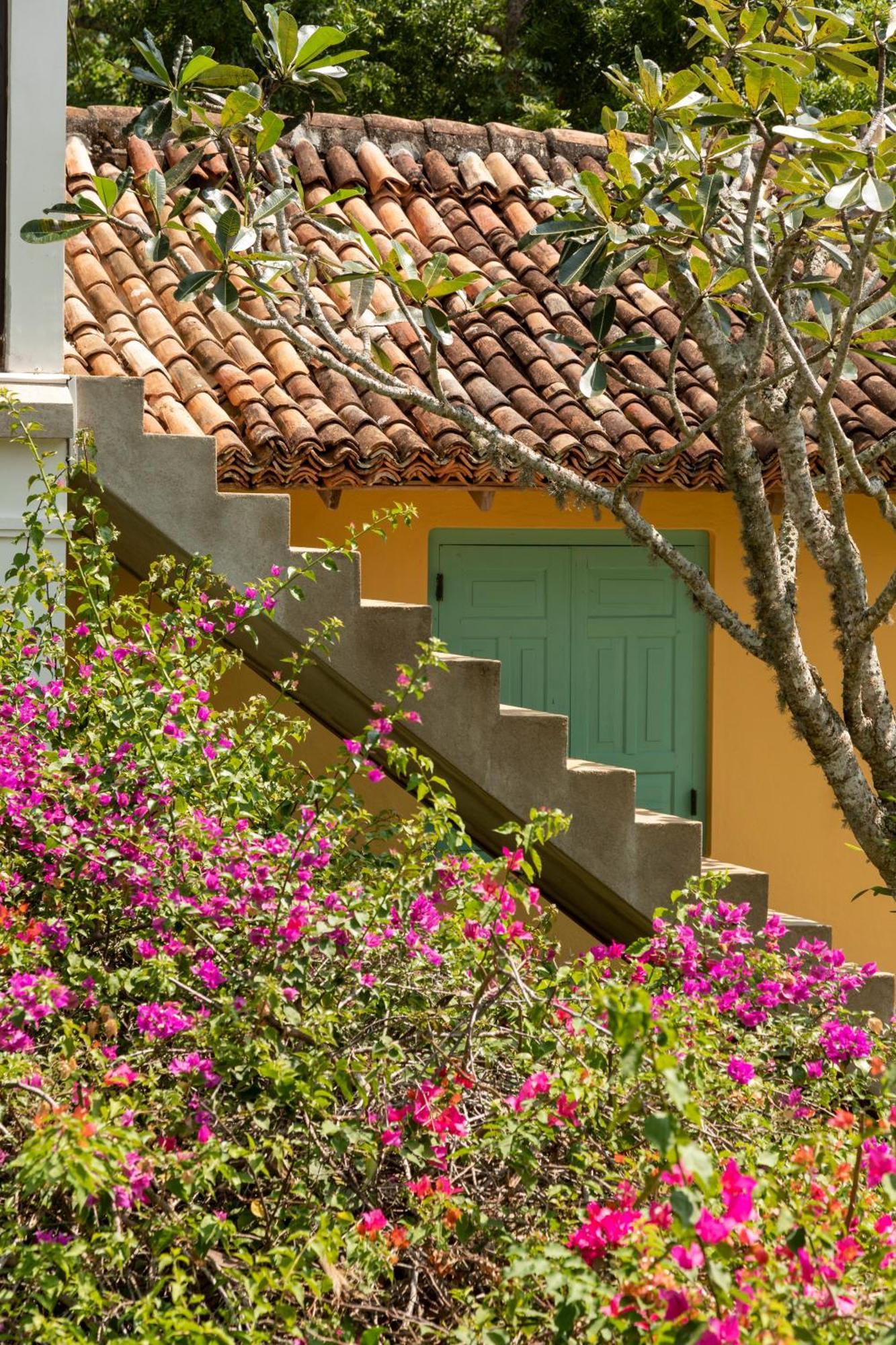 The Last House Tangalle Luaran gambar